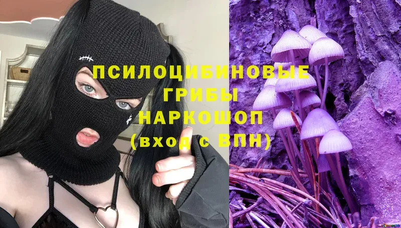 Галлюциногенные грибы Cubensis  где можно купить   Лебедянь 